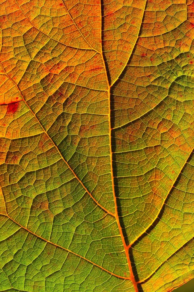 生理中の辛い時期に家事を効率よく済ませる方法は？