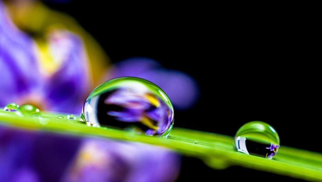 生理中におすすめの水分補給方法は？