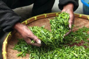 生理中の乾燥対策に最適な化粧水は？