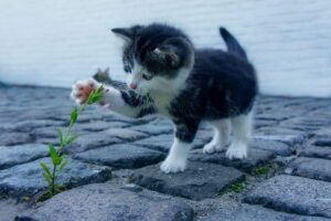 排卵前の乾燥を防ぐための効果的な保湿方法は？