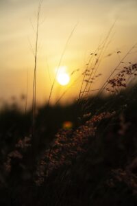 PMSによる肌荒れを効果的に治す方法は？