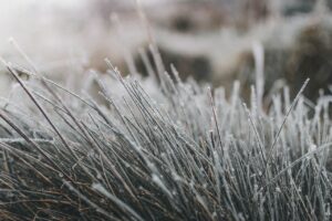 生理前に気分が不安定になり肌荒れを防ぐ方法は？