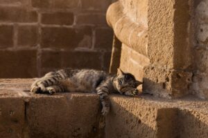 生理前の睡眠が肌荒れに与える影響とは？
