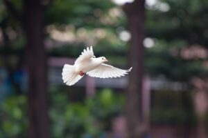 生理前の肌荒れを改善する方法は？