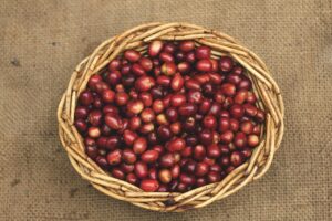 生理周期におけるカフェインの摂り方のコツは？