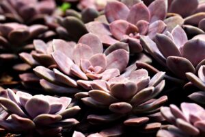 生理周期に合わせた夏の皮脂崩れ対策はどうする？